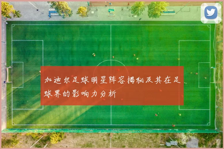加迪尔足球明星阵容揭秘及其在足球界的影响力分析
