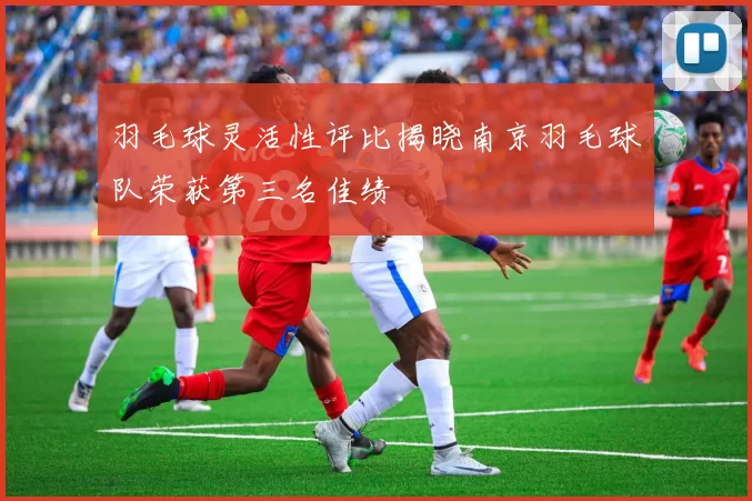 羽毛球灵活性评比揭晓南京羽毛球队荣获第三名佳绩
