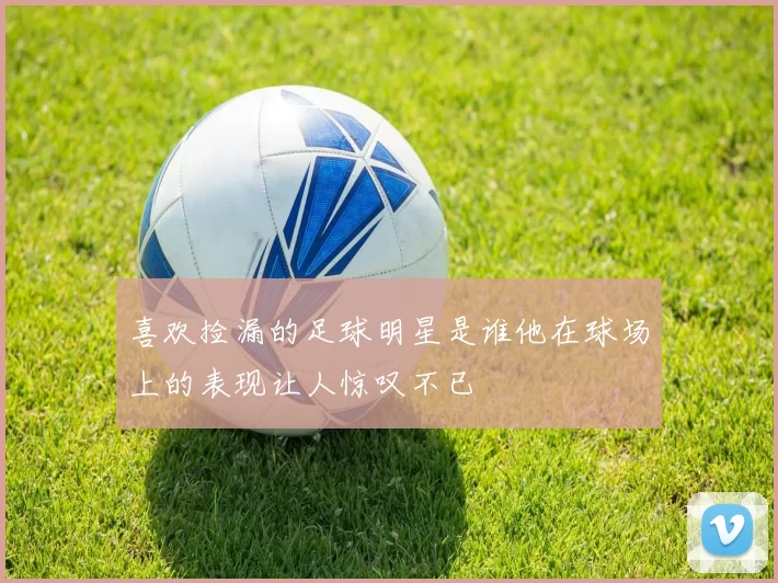 喜欢捡漏的足球明星是谁他在球场上的表现让人惊叹不已