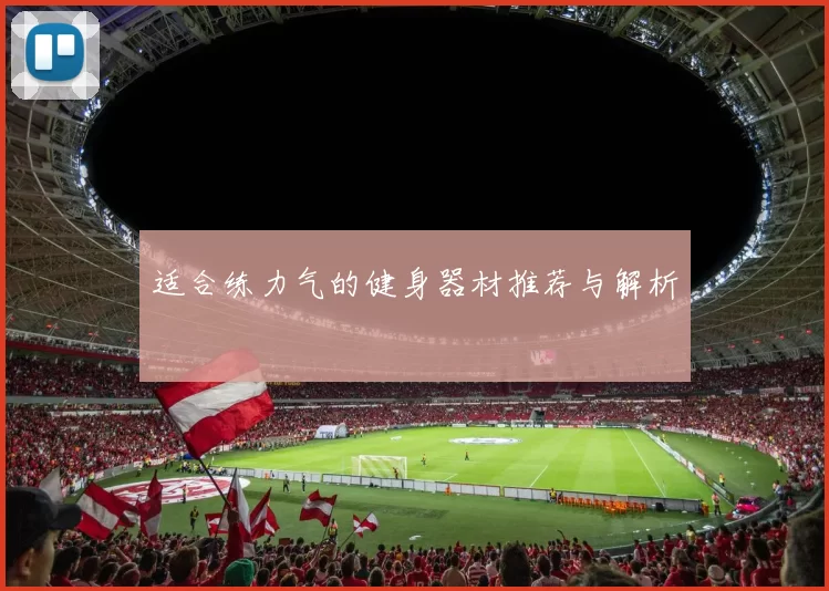 适合练力气的健身器材推荐与解析