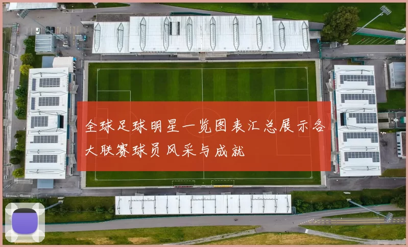 全球足球明星一览图表汇总展示各大联赛球员风采与成就